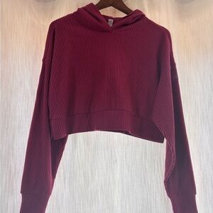 Alo Cropped Hoodie